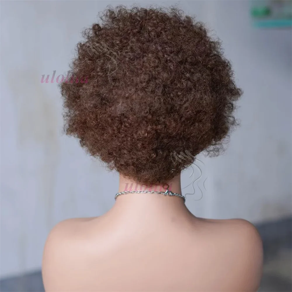13x4 Lace Frontal Afro Krøllet Paryk 100% Brasiliansk Remy Hår 6 Ombre Highlights Bouncy Krøllet Paryk Ægte Hår Parykker med Fletninger_voghion.com