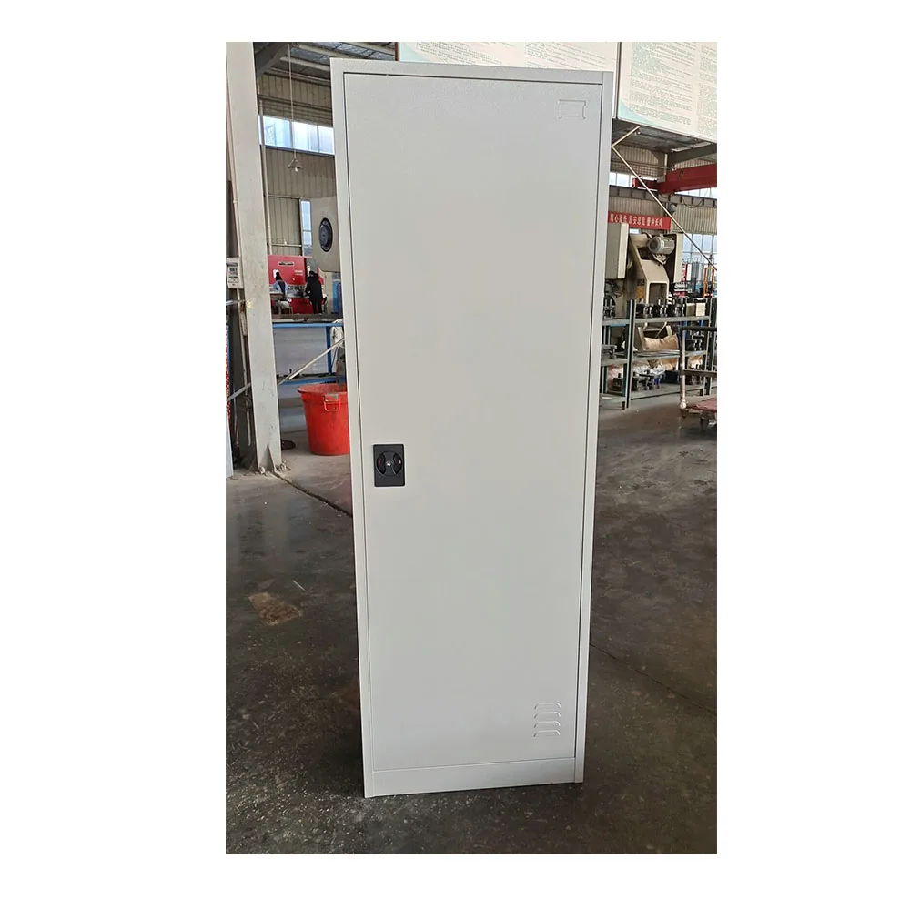 FAS-009 металлический шкаф с одной дверью, стальной шкаф для хранения, шкаф для раздевалок