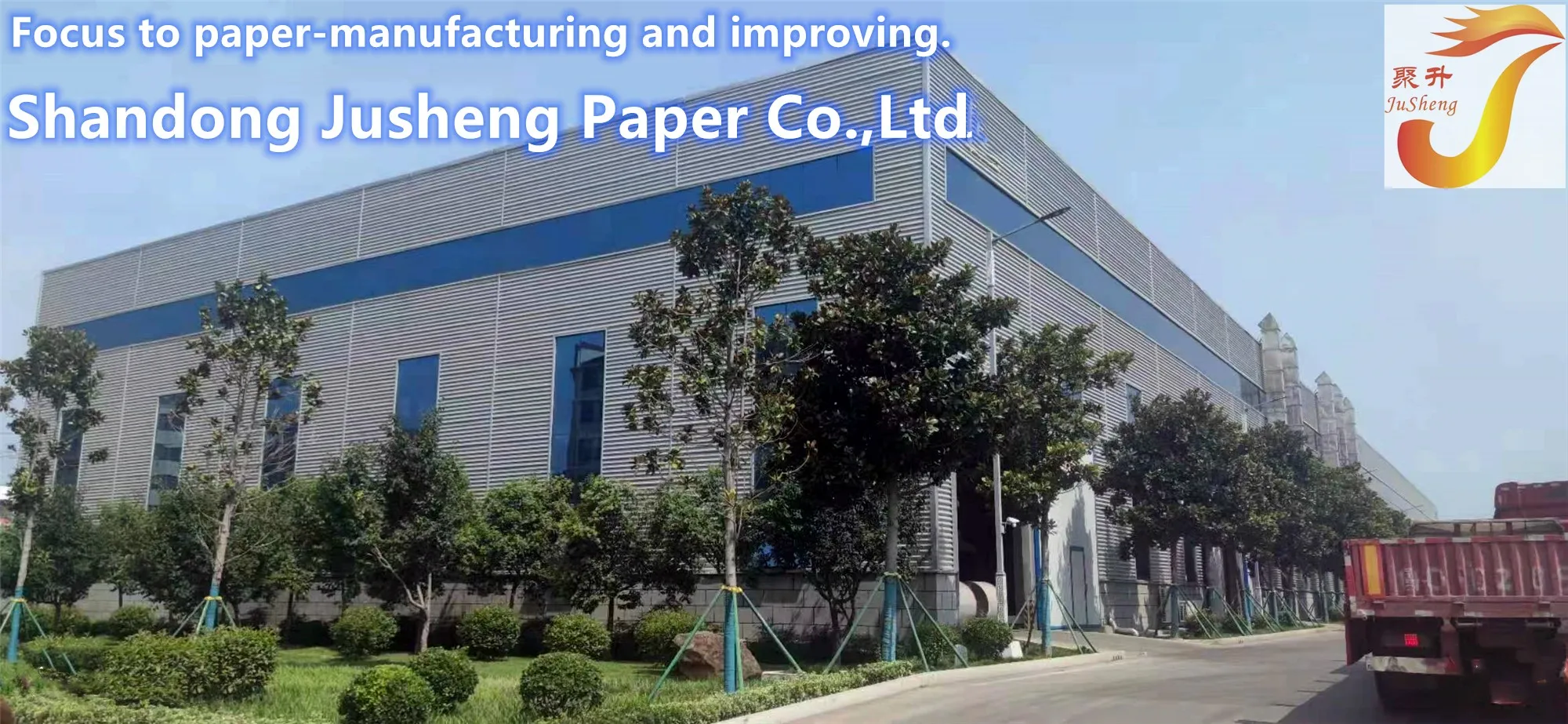 Thin Printing Medicine Insert Leaflet Pharmaceutical Instruction