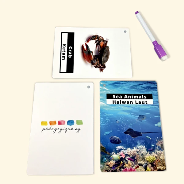 High Quality Custom Making English Animal and Plant Pattern Flash Card Wholesale Custom Print Logo Kids Educational Flashcards