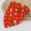 Carotte orange