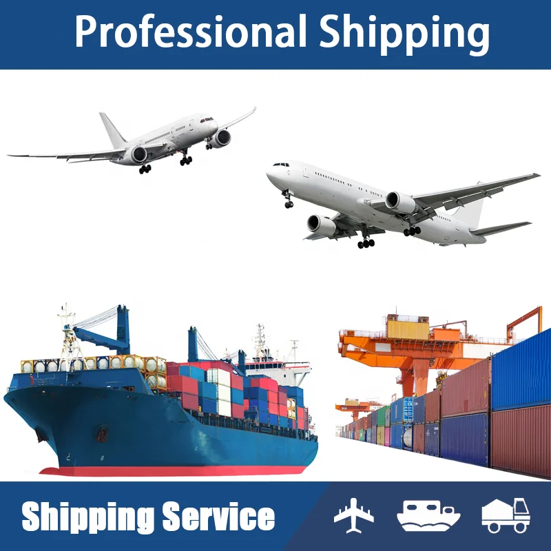Fast Delivery DDP/DDU Sea Freight Forwarder From China to Philippines Southeast Asia LCL+Express Product