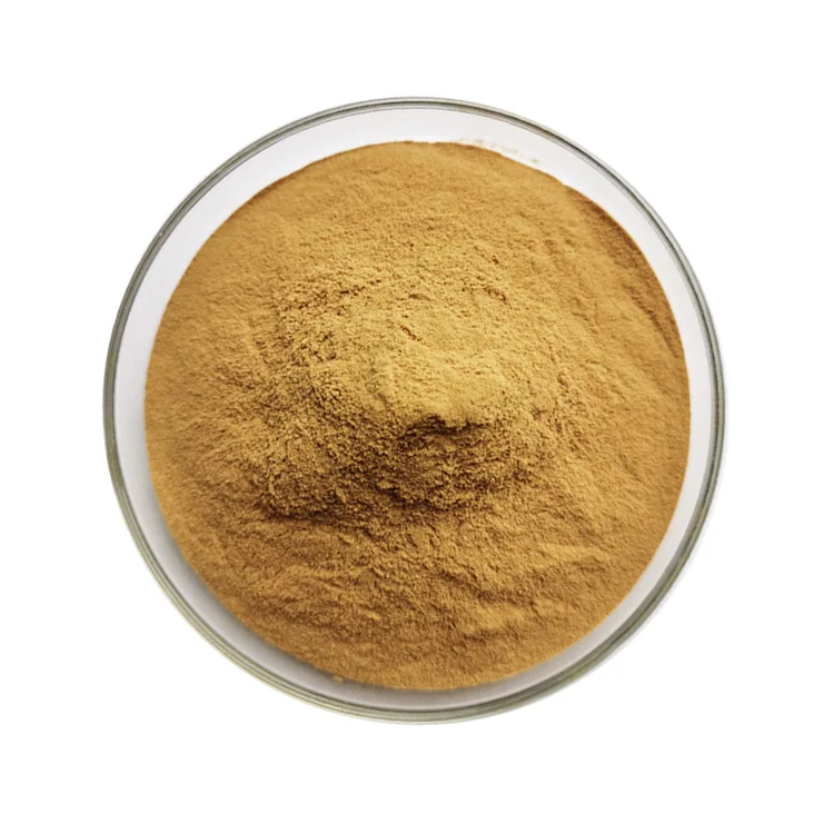 Bulk Bacopa Monnieri Extract Powder 10% 20% 50% Bacopasides Bacopa Monniera Extract