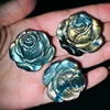 Rose flower