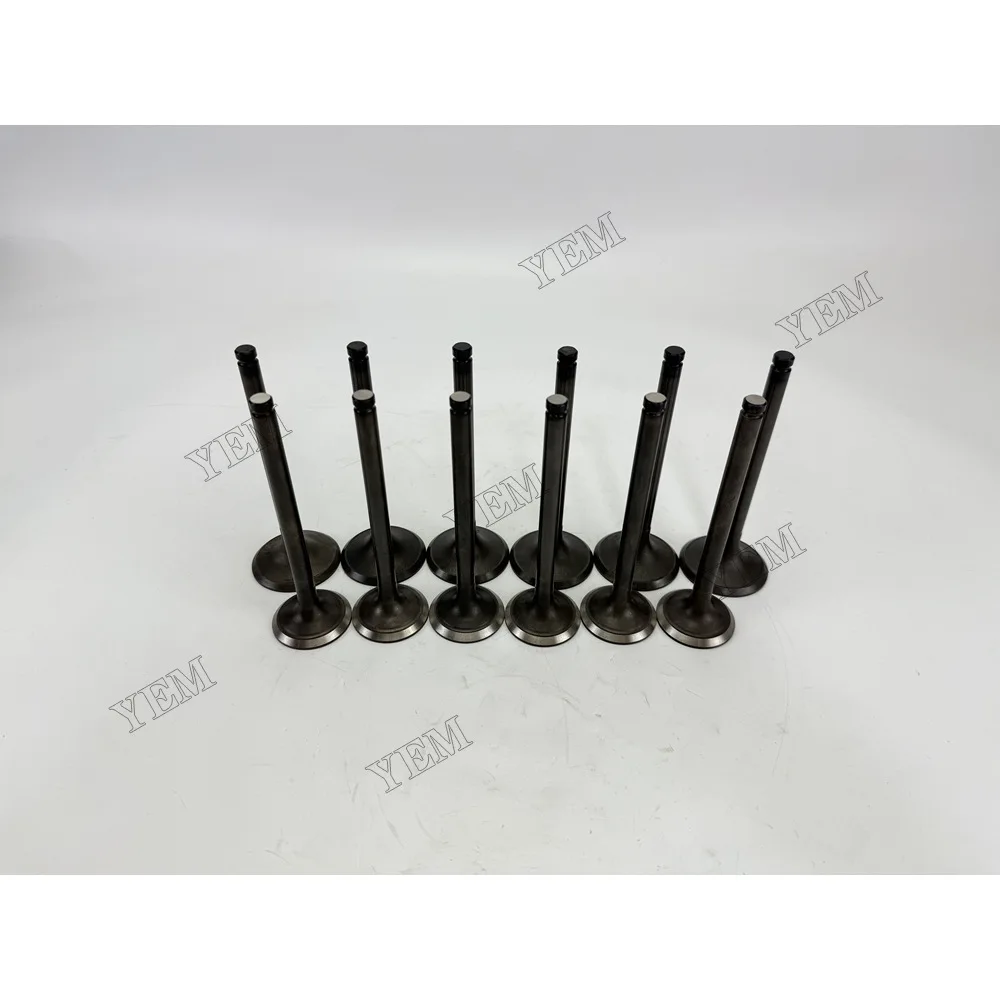 For Nissan NE6 Intake and Exhaust Valve Diesel Engine Parts 4