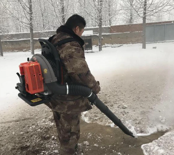 snow blower display (3).jpg