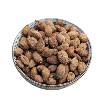 Sha Ren Wholesale China Raw Natural Dried Whole Villous Amomum Fruit Cocklebur-like Amomum for Spice