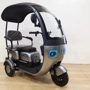 2024 New Latest Electric Tricycle Household Tricycle Electric Bike With Rain Cover