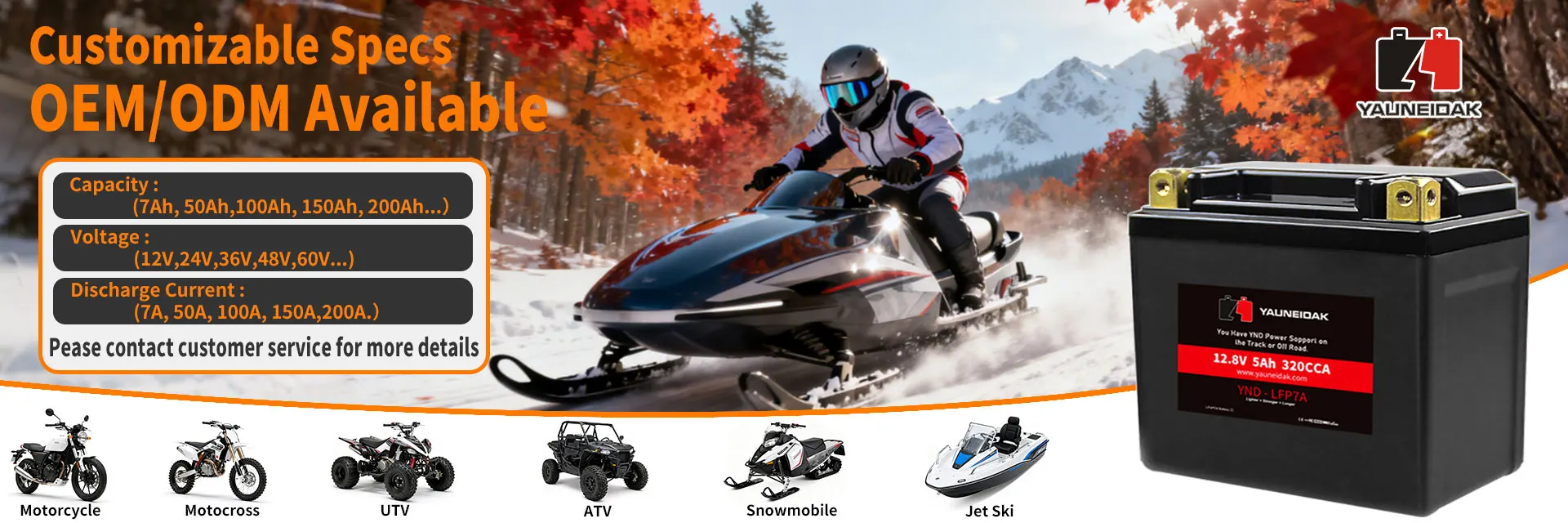 UPNRG LiFePO4 Battery Professional Series