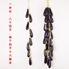 8 eggplants 1 meter long