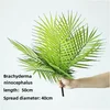9 palme dalla coda corta