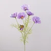 Pourpre