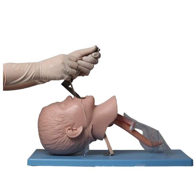 Medical Science Advanced Child Tracheal Intubation Model Child Airway Manikin GD/J16