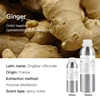 Ginger (France)