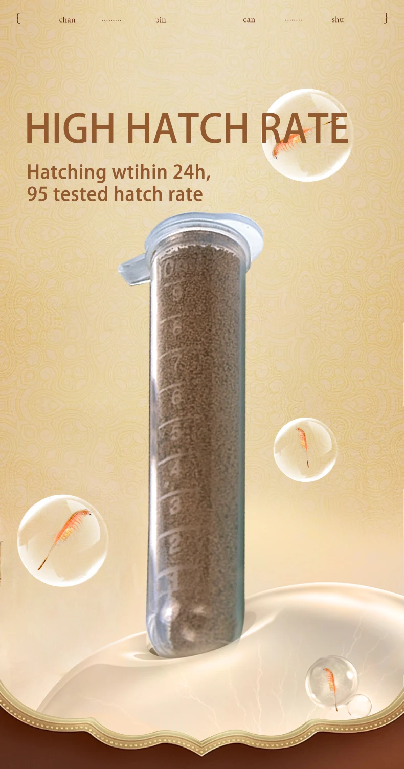 High Hatchability Live Fish Egg Aquarium Food Artemia Cysts Baby Brine
