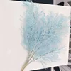 สีฟ้า