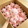 ตุ๊กตาผ้า 4 ตัว (ติดต่อเราเพื่อรับแคตตาล็อกที่มีมากกว่า 6000 แบบ)