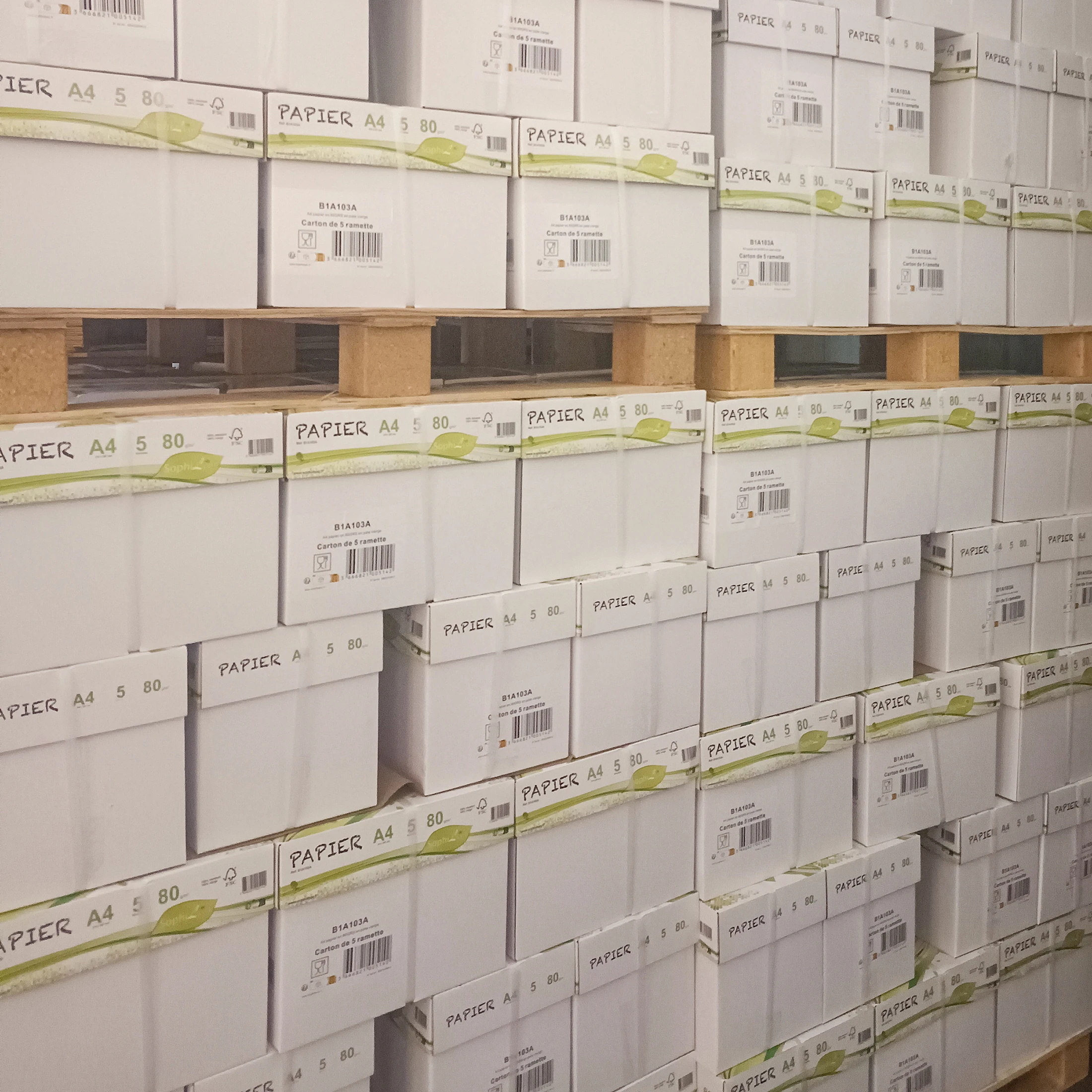 Free Custom Service Low MOQ Factory Wholesale 80GSM Printing Paper A4 Specification 75GSM 70GSM Office Copy Paper
