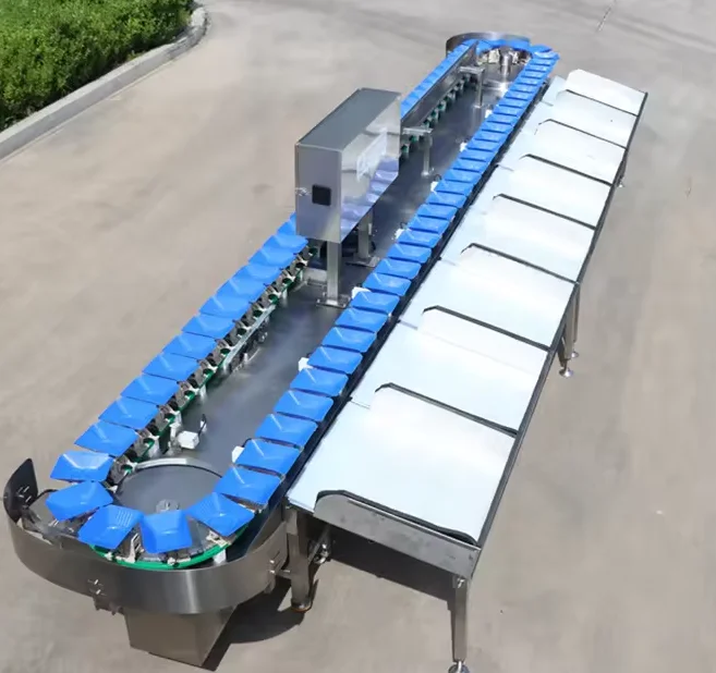 Automatic Electric mango Fruit Picking Machine Fruit Food Sorting Grading Machine Sorter Grader Machine Line