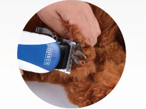Qirui-recortador de pelo eléctrico con cable para mascotas, CA