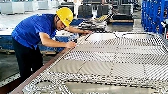 Plate Inspection Plate Inspection