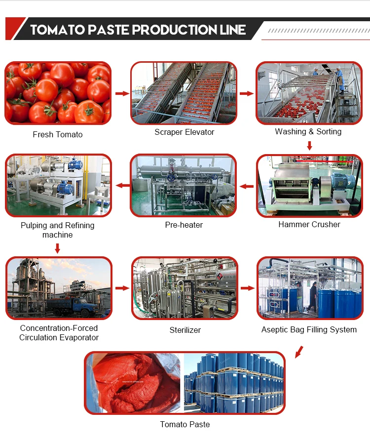 Top Quality Fresh Tomato Making Canned Tomato Paste Processing Machine ...