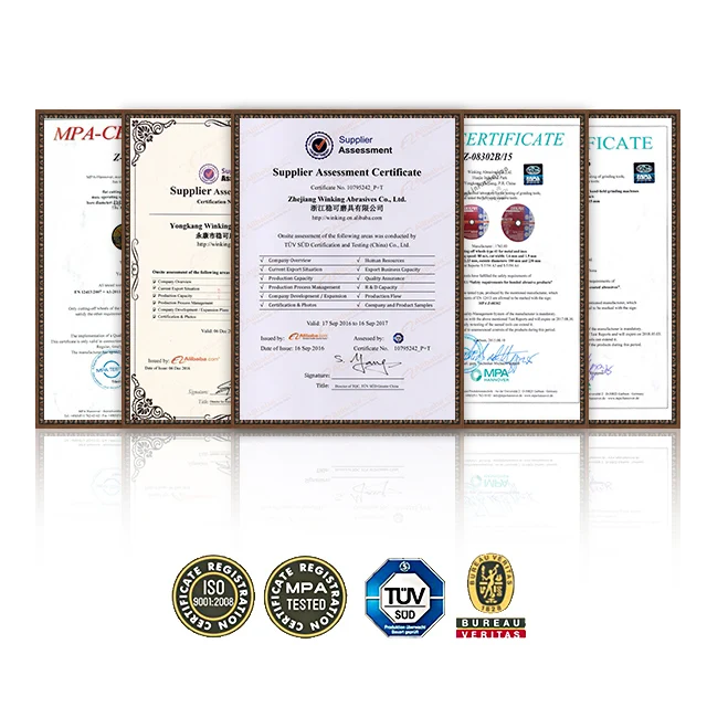 Pegatec Silicon Carbide Polishing Sanding Fiber Disc for Wood and Stone