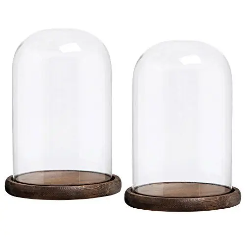 Glass Cloche Bell Jar Dome with Bamboo wood Tray DIY Decorative centerpiece tabletop Glass Cloche Bell Jar Dome for sale