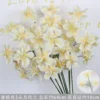 Vanda Blue de 3 cabezas color champán
