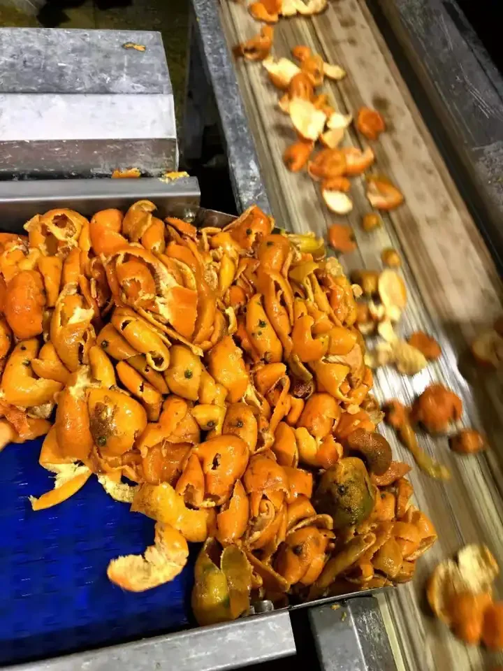 Industrial Automatic Tangerine Juice Making Extractor Machine Maker