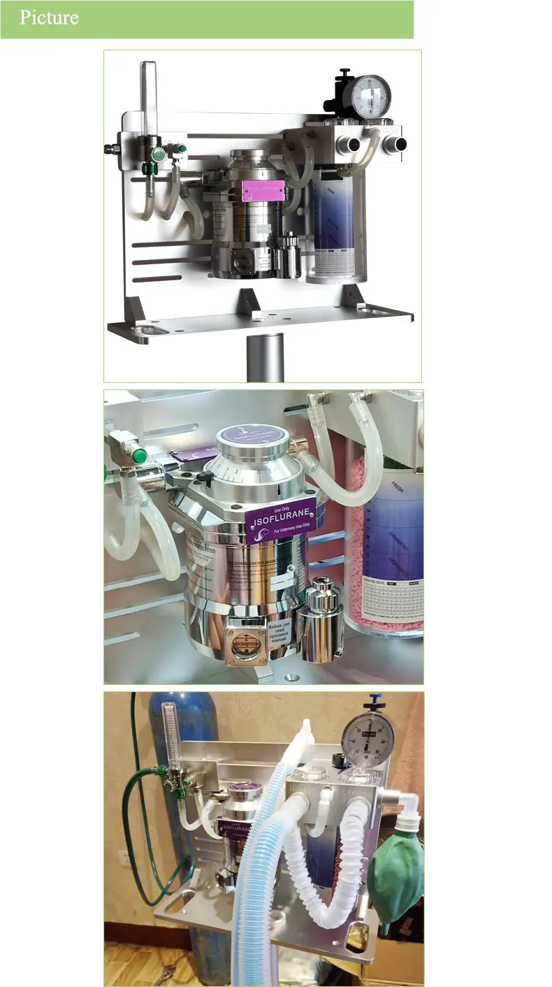 High Quality Veterinary Anesthesia Machine With Isoflurane Evaporator
