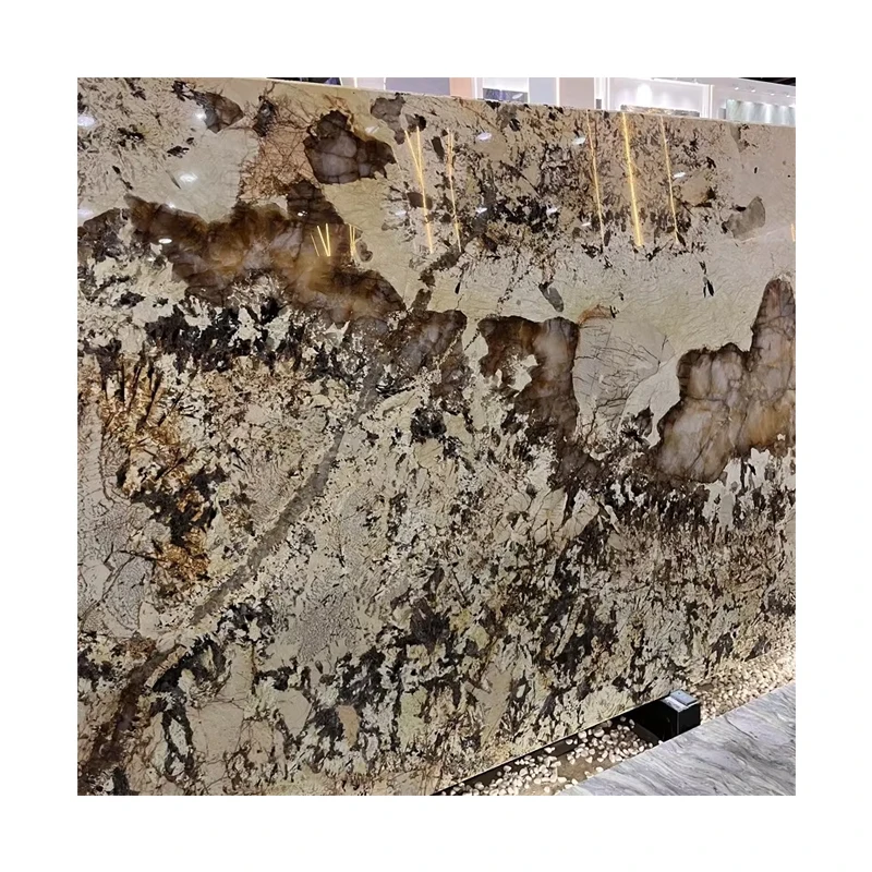 Brazil Best Quality Patagonia Quartzite Slabs for Wall Decor Crystal Patagonia Granite Countertop
