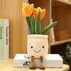Orange tulipe