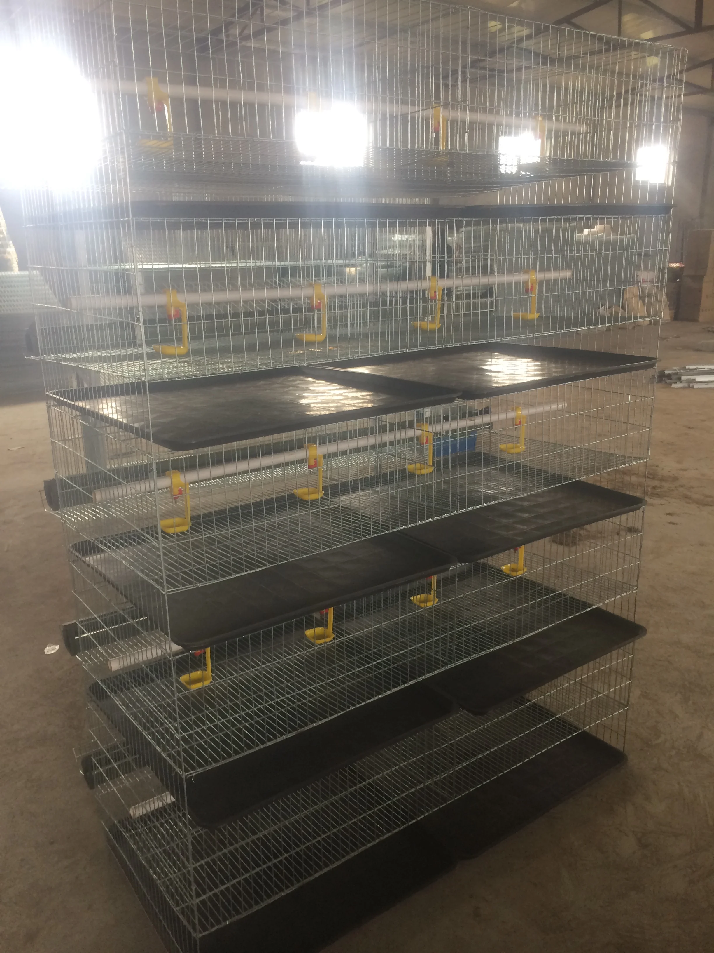 Quail Farm Equipment Layer Quail Cage 200300 Quails Breeding Cage