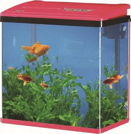 Mini Magical Square Coffee Table Aquarium Tank Eco-Friendly Fish Glass Design