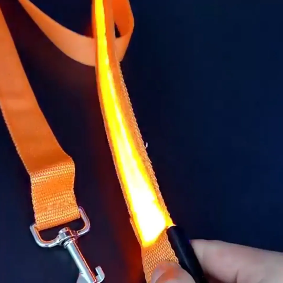 Light Up Dog Leash: Get The Best Light Up Dog Leashes From LITO | LED Dog Leash | Lighted Dog
