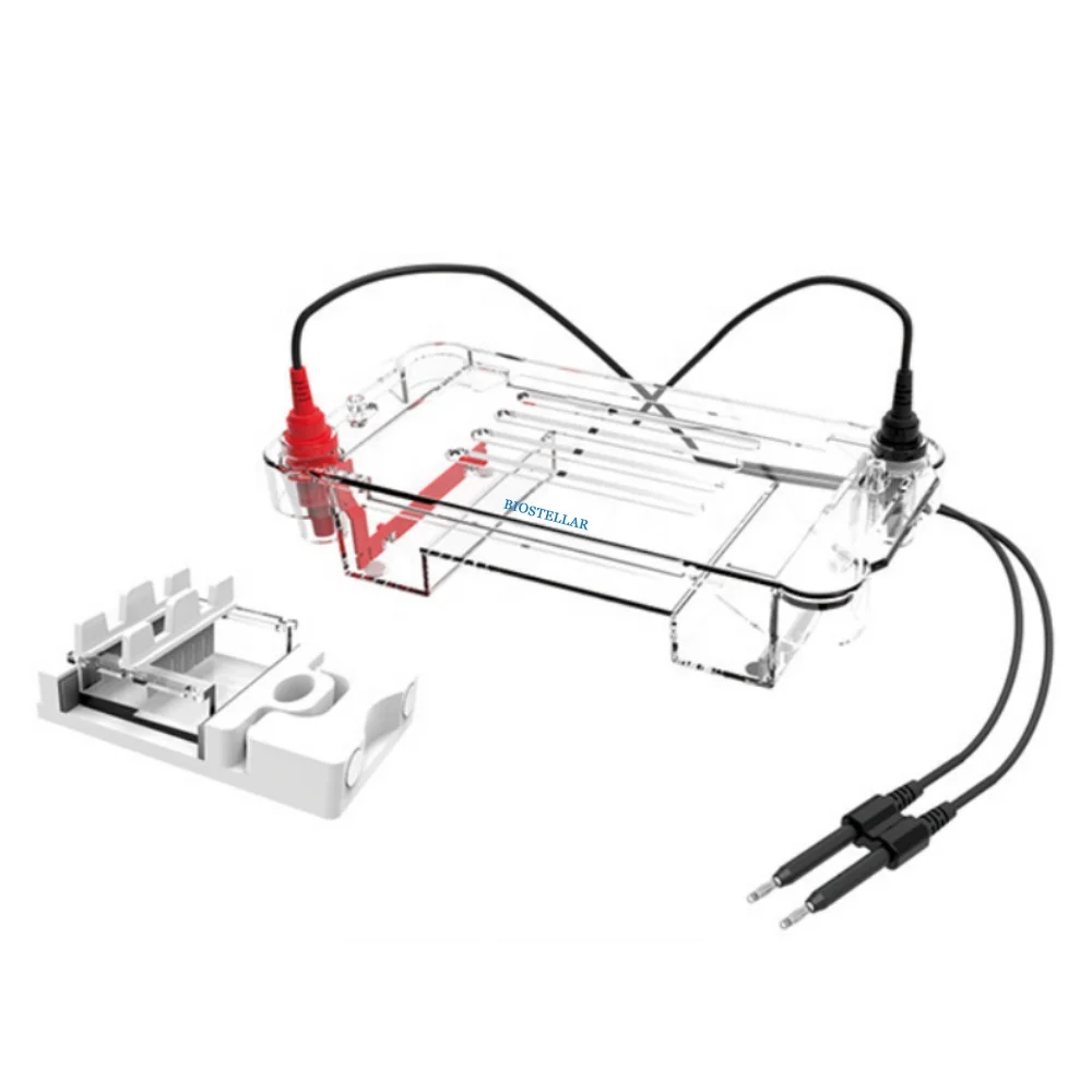 Biostellar Horizontal Agarose Gel Electrophoresis Tank for PCR ...