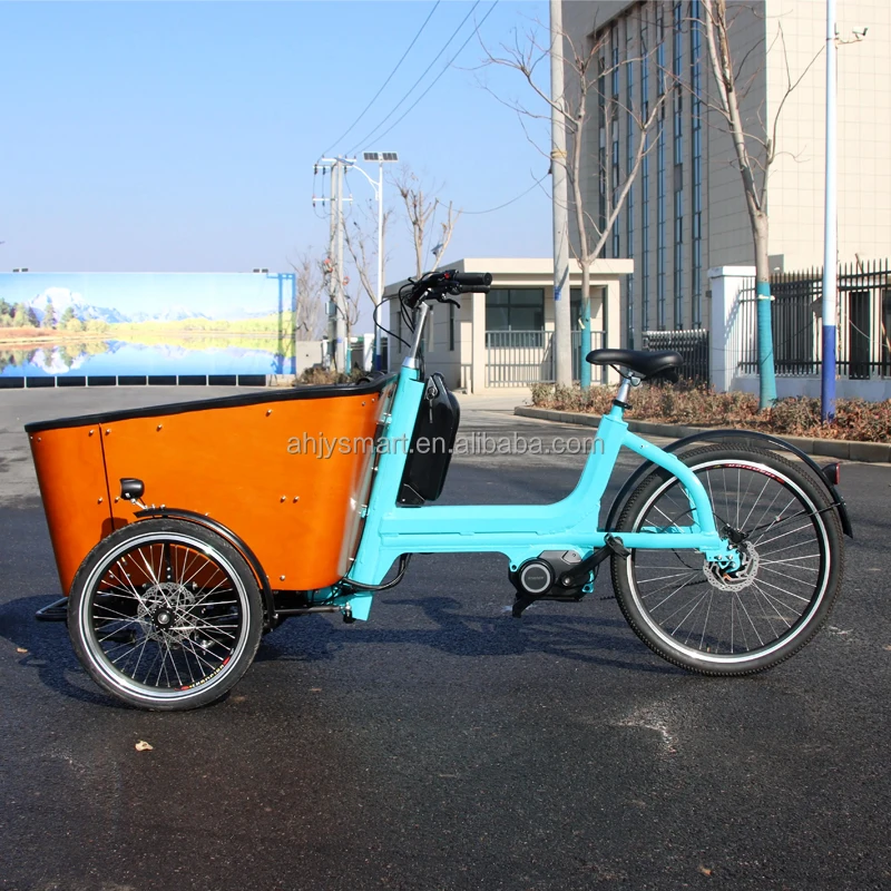 Family Trike 250W Electric Cargo Tricycle for Electric Tricycle