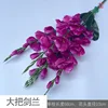 Large bunch of gladiolus YM rose purple