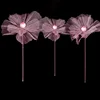 Pink Flower Head