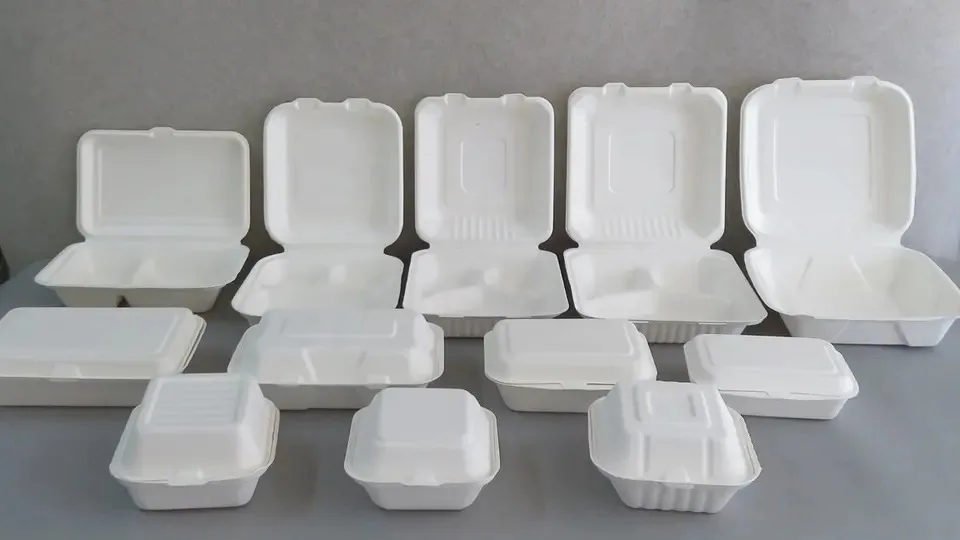 Sugarcane 100 Biodegradable Pfasfree 6'' Clamshell Compostable Burger