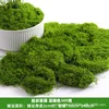 500 g de musgo filamentoso verde oscuro (a granel)