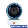 Beige Indoor Camera