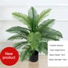 Palm Tree - 80cm