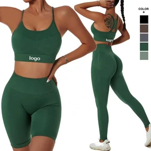 Plus Size Ladies Fitness Gym Wear Set Women Sportswear Gym Outfit Seamles Sports & Fitness Yoga Wear Set