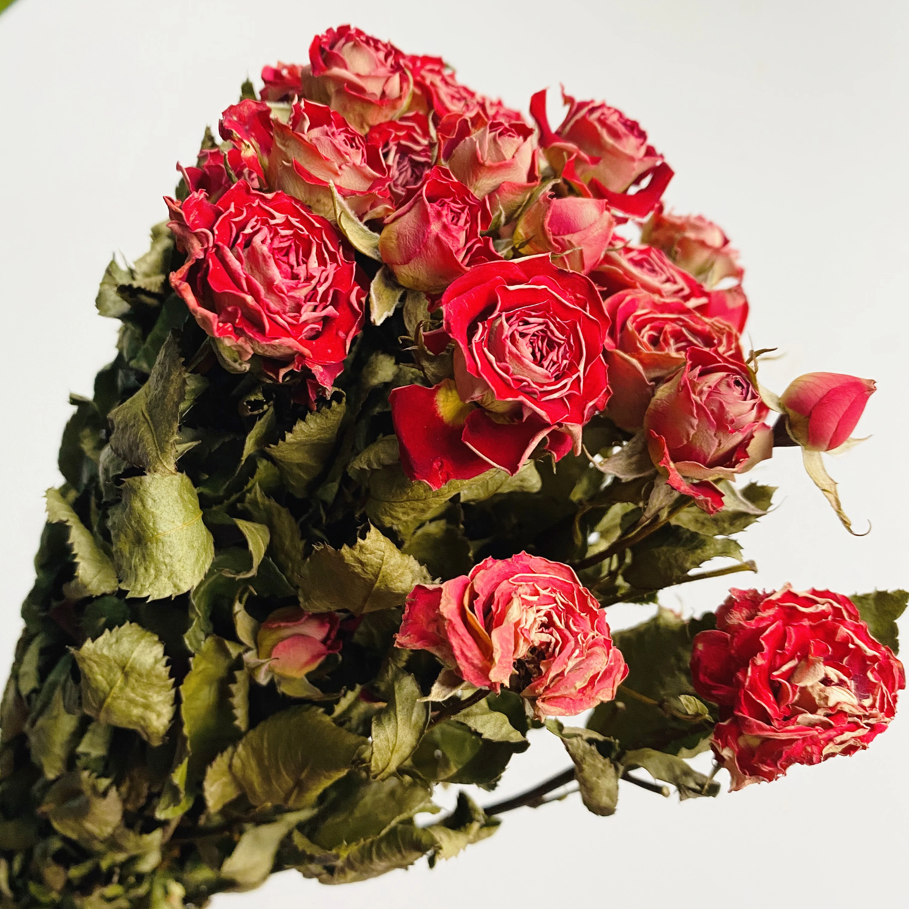 Decorativa De Natal Naturais Secas Yunnan Secas Por Atacado Rosa Vermelha  Buquê De Rosas Para Decoração - Buy Rose Bouquet,Rosa Da Decoração,Rosa  Secas Product on Alibaba.com