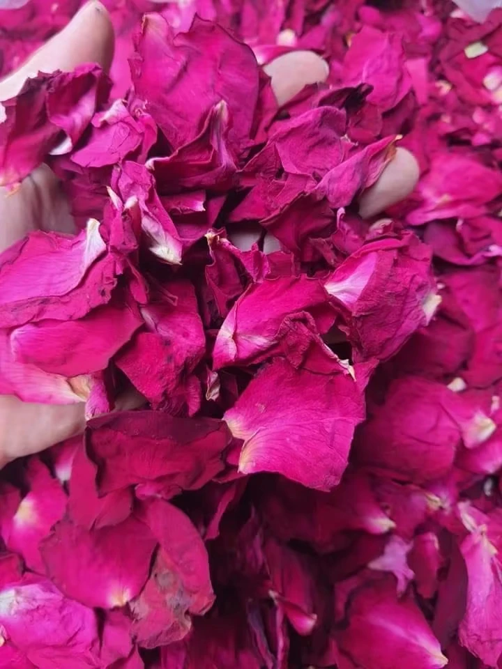 Dried Rose - Bulk Wholesale from China Factory Hca8db35920cc41468800d54e7b69aac15