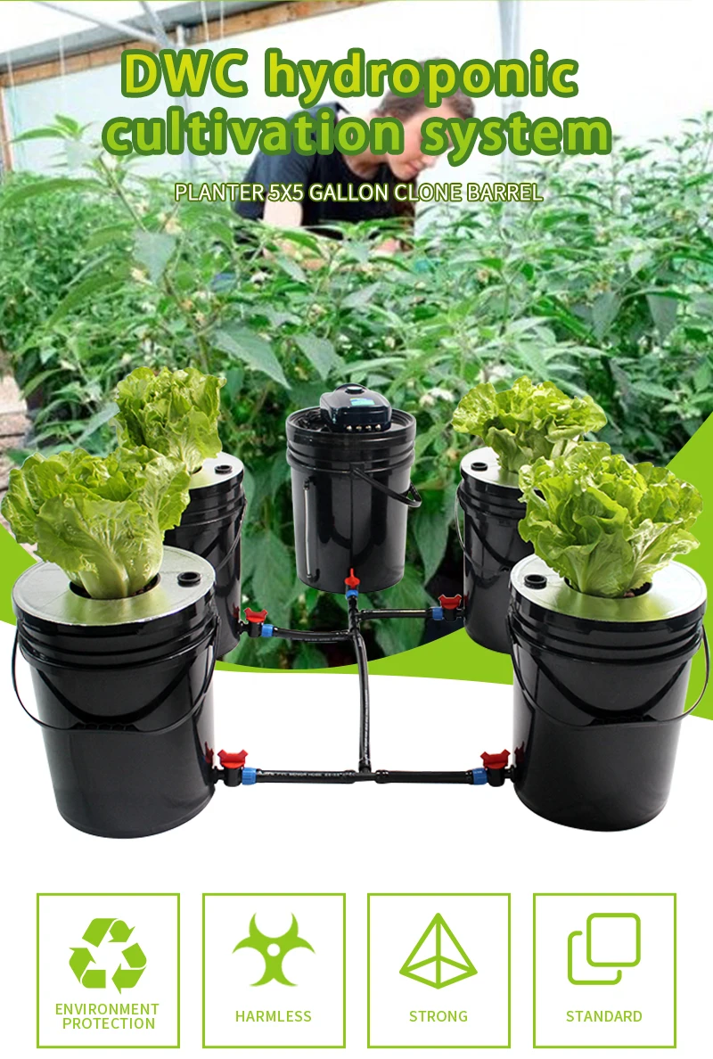 Dwc Hydroponics Growing Systems Home Hydroponic System Planter 5 Gallon ...