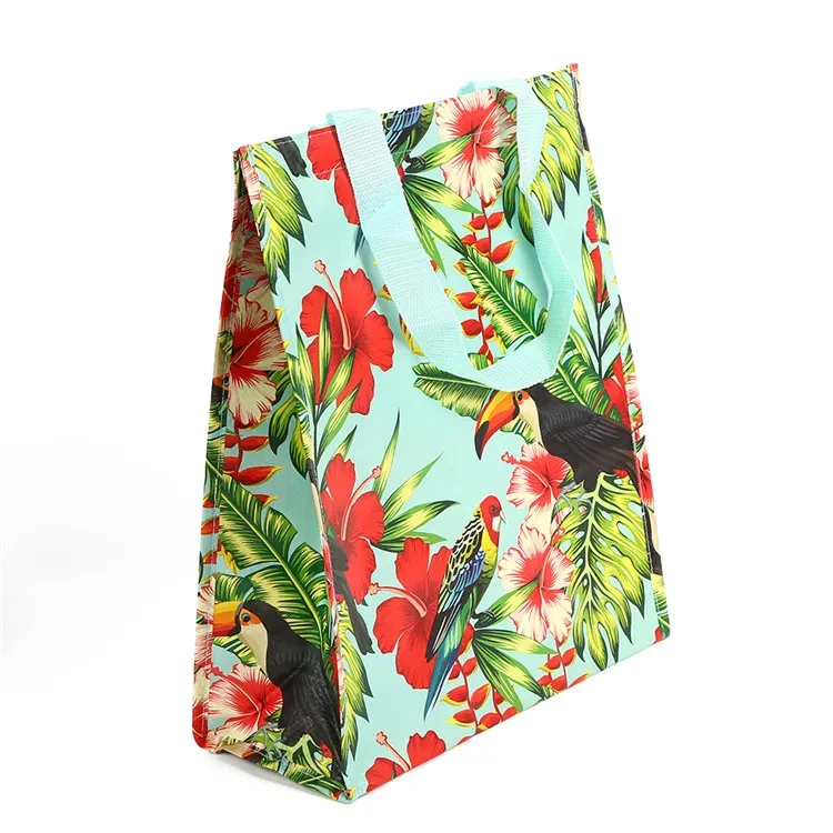 Promotional Foldable Cooler Bag Thermal Lunch Container to Keep Food Warm or Cool Made From PP Non Woven Material