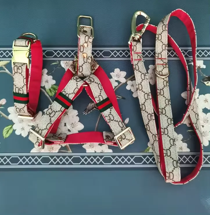 3Takins 3TAK247-C Luxury GD Dog Collar, Sustainable - Main Image